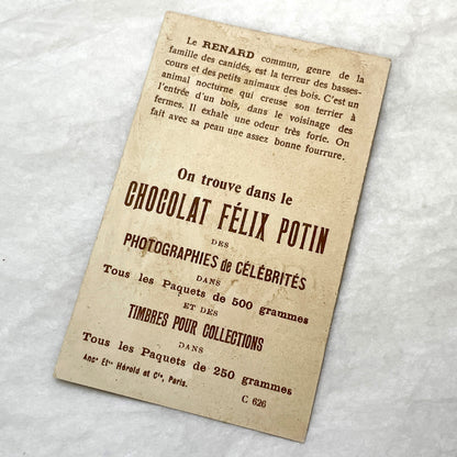 1900s - 2 Vintage Félix Potin Chocolate Advertising Cards - Mammals Series - Fox & Sable Marten Chromos - French Collectibles - Ephemera Art