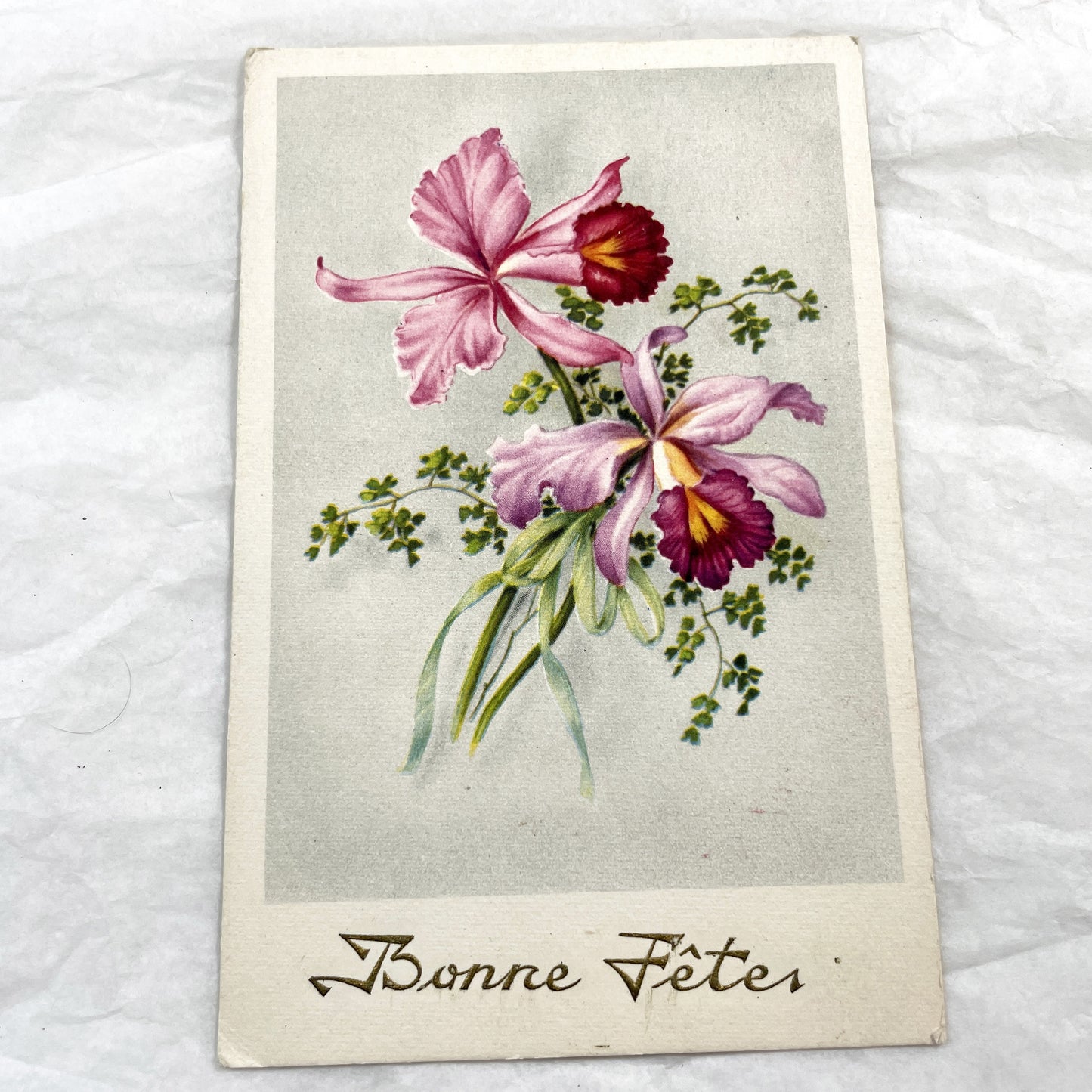 1950s - Vintage French Orchid Postcard - Bonne Fêtes Greeting Card - Botanical Flower Illustration - Antique Ephemera Collectible