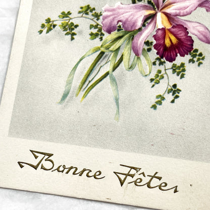 1950s - Vintage French Orchid Postcard - Bonne Fêtes Greeting Card - Botanical Flower Illustration - Antique Ephemera Collectible