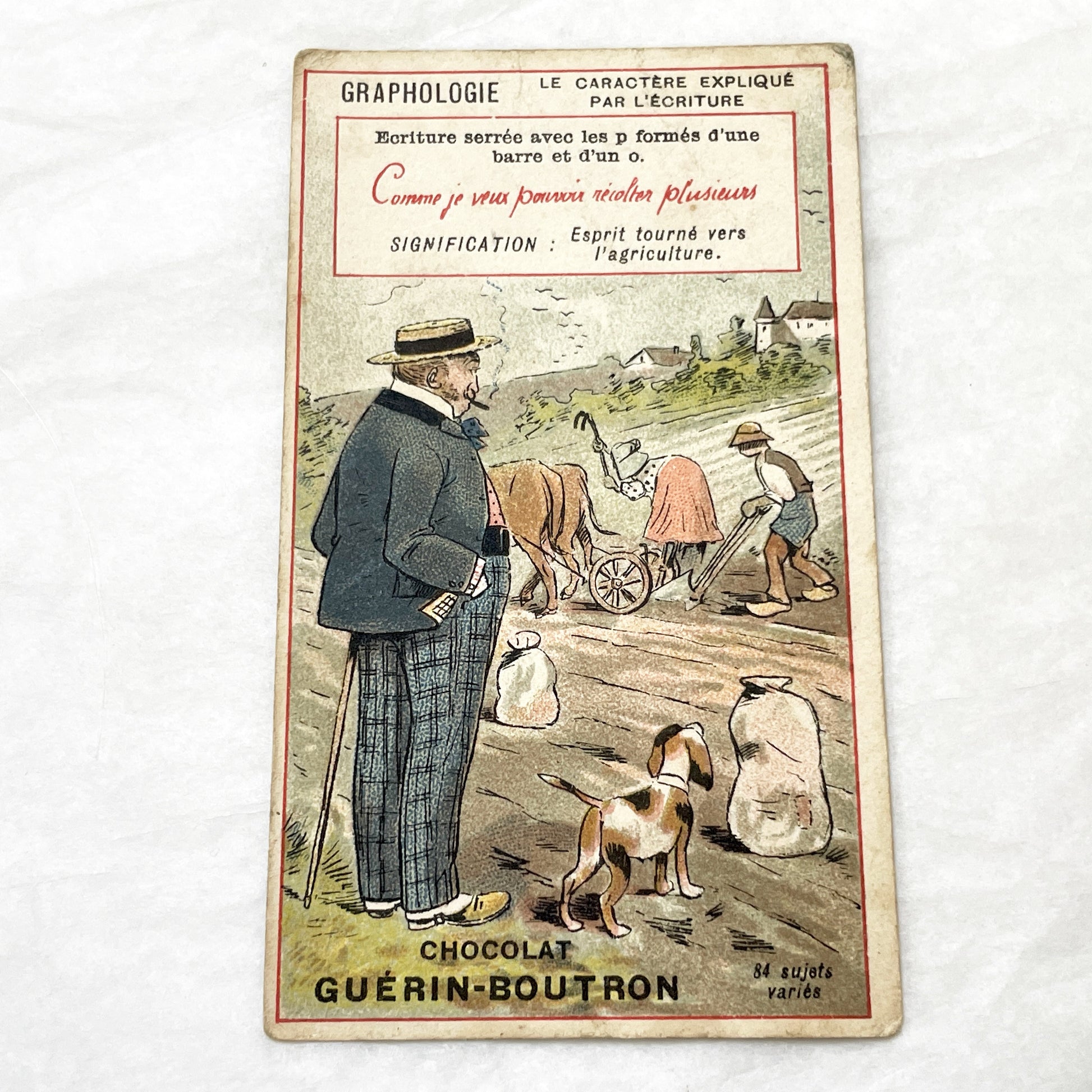 1900s - 3 French Graphology Advertising Cards - Chocolat Guérin-Boutron Collectibles - Vintage Illustrated Trade Cards for Journals