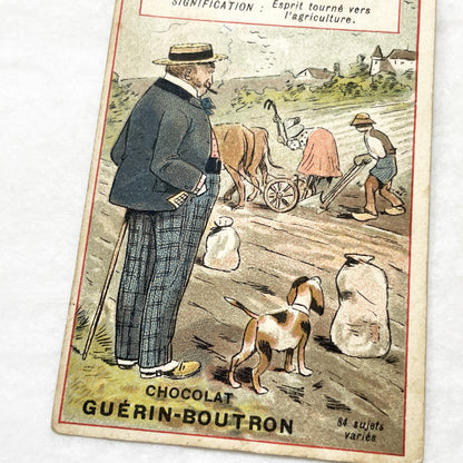 1900s - 3 French Graphology Advertising Cards - Chocolat Guérin-Boutron Collectibles - Vintage Illustrated Trade Cards for Journals