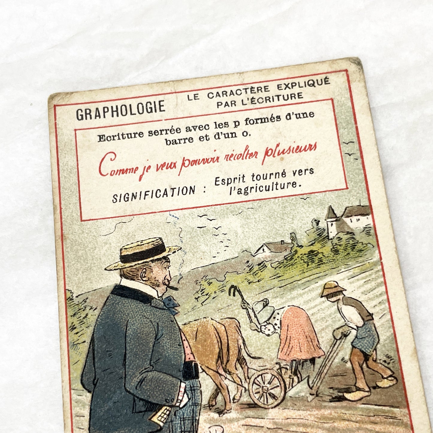 1900s - 3 French Graphology Advertising Cards - Chocolat Guérin-Boutron Collectibles - Vintage Illustrated Trade Cards for Journals