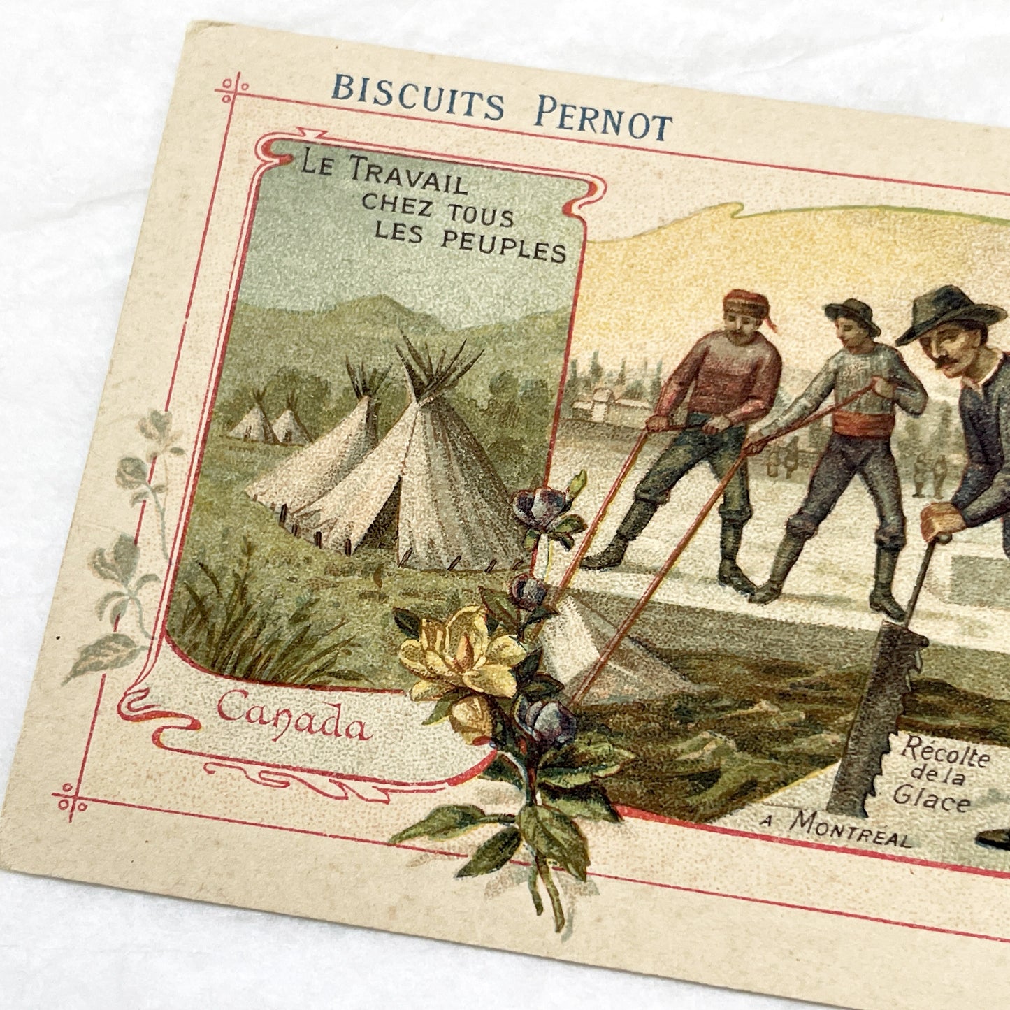 1900s - 3 Biscuits Pernot Trade Cards - World Industries - Canada - Serbia - China - Antique Advertising Ephemera - Collectible French