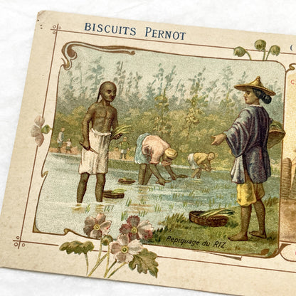 1900s - 3 Biscuits Pernot Trade Cards - World Industries - Canada - Serbia - China - Antique Advertising Ephemera - Collectible French