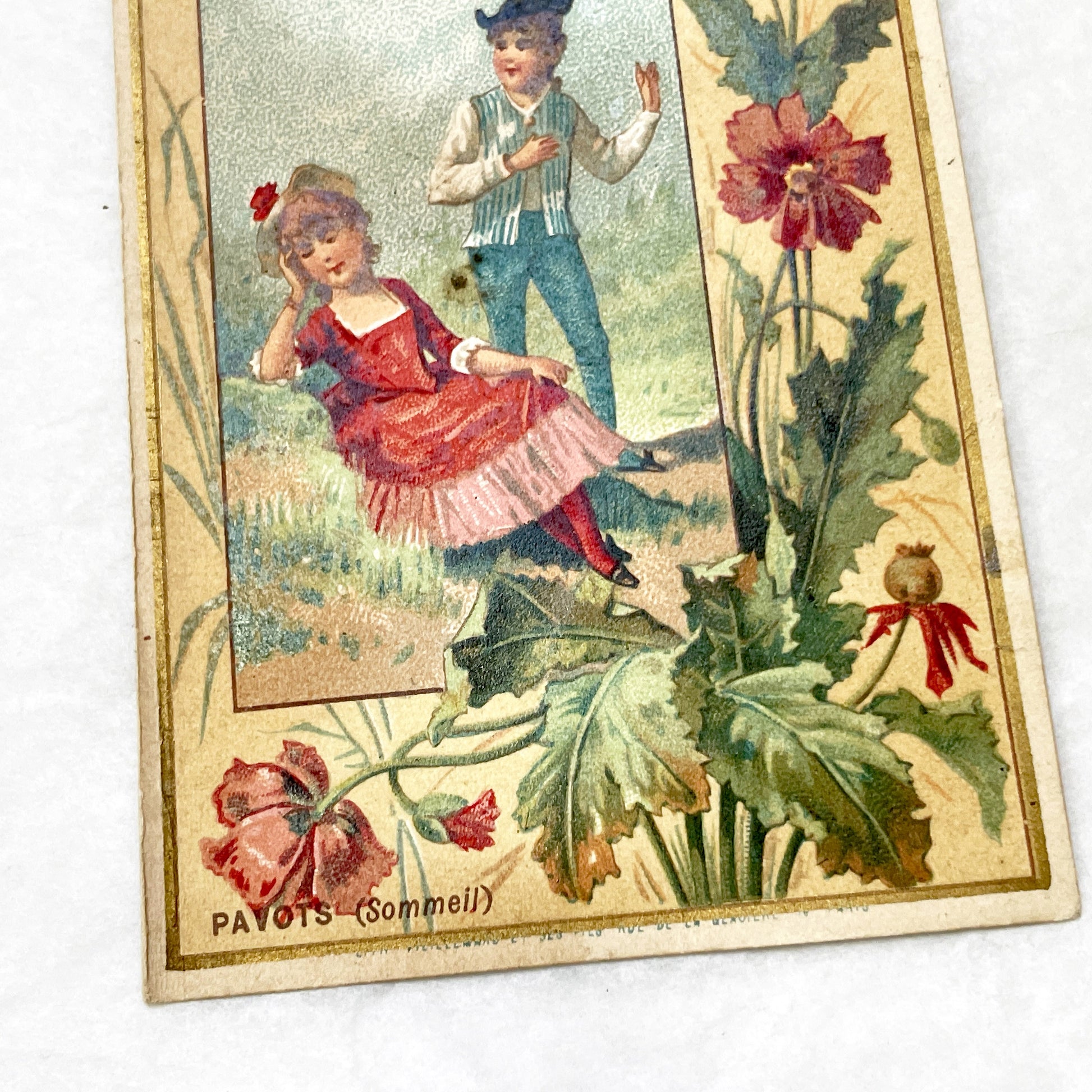 Late 19th - Chocolat Guérin-Boutron French Advertising Chromo Trade Card - Poppies - Antique Botanical Art - Collectible French Ephemera