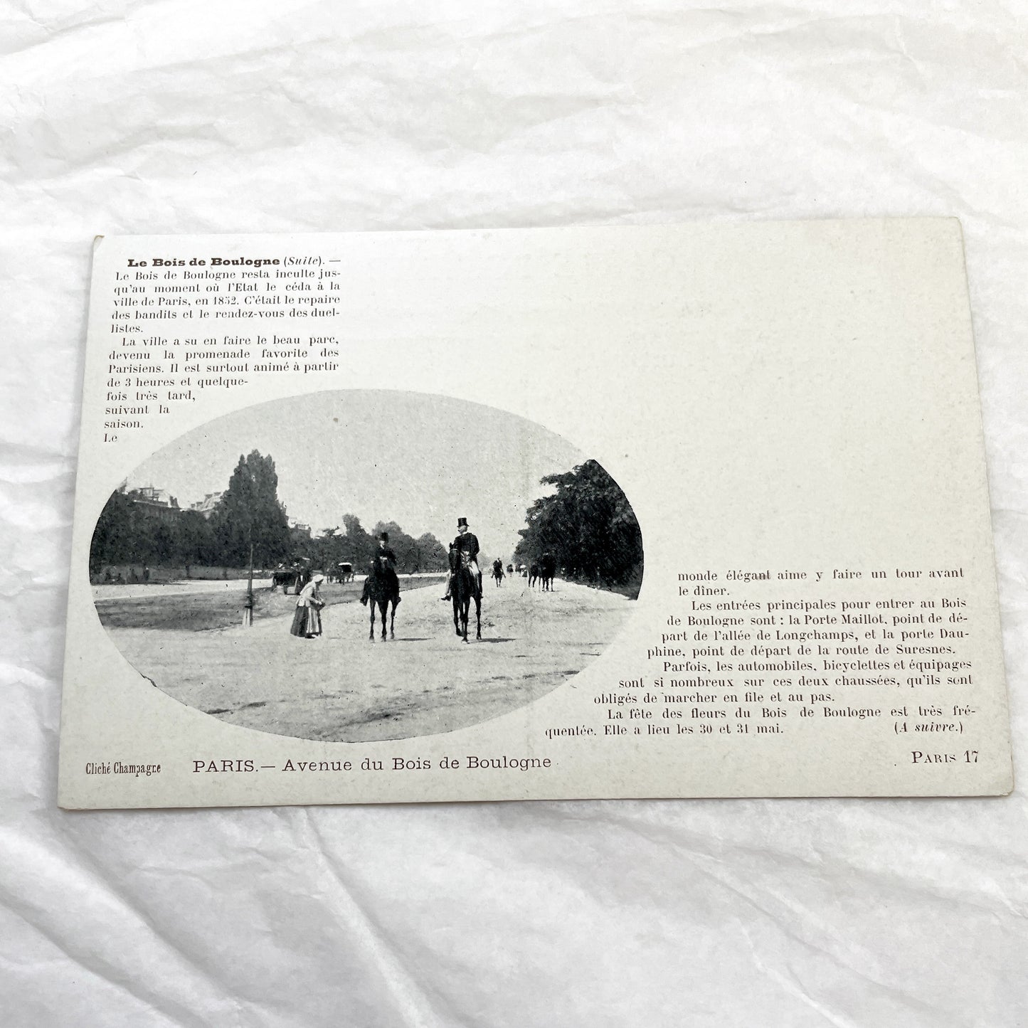 1900s - Vintage Photo Print - Bois de Boulogne Avenue - Paris - Horseback Riders - Elegant Promenade - French History