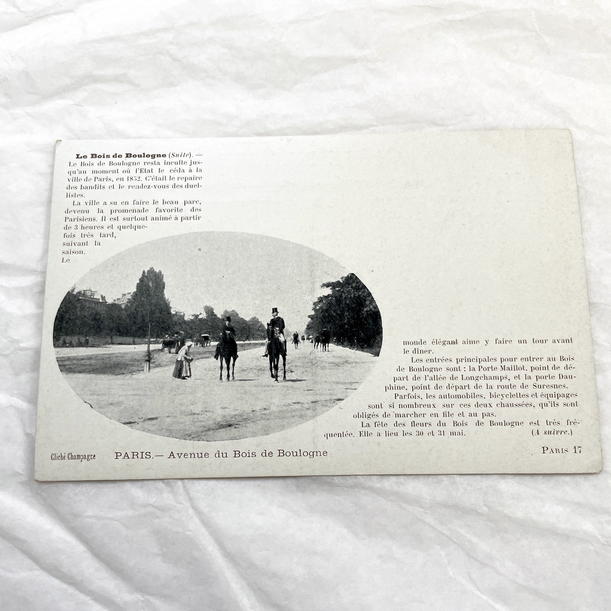 1900s - Vintage Photo Print - Bois de Boulogne Avenue - Paris - Horseback Riders - Elegant Promenade - French History