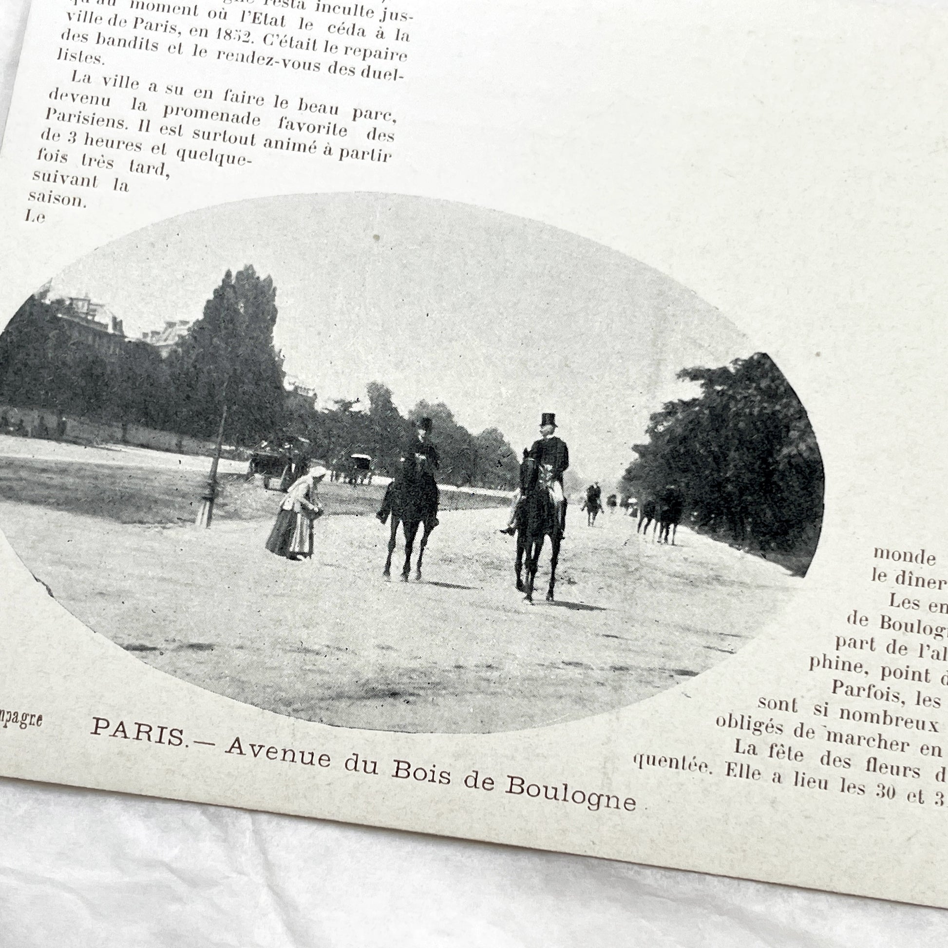 1900s - Vintage Photo Print - Bois de Boulogne Avenue - Paris - Horseback Riders - Elegant Promenade - French History