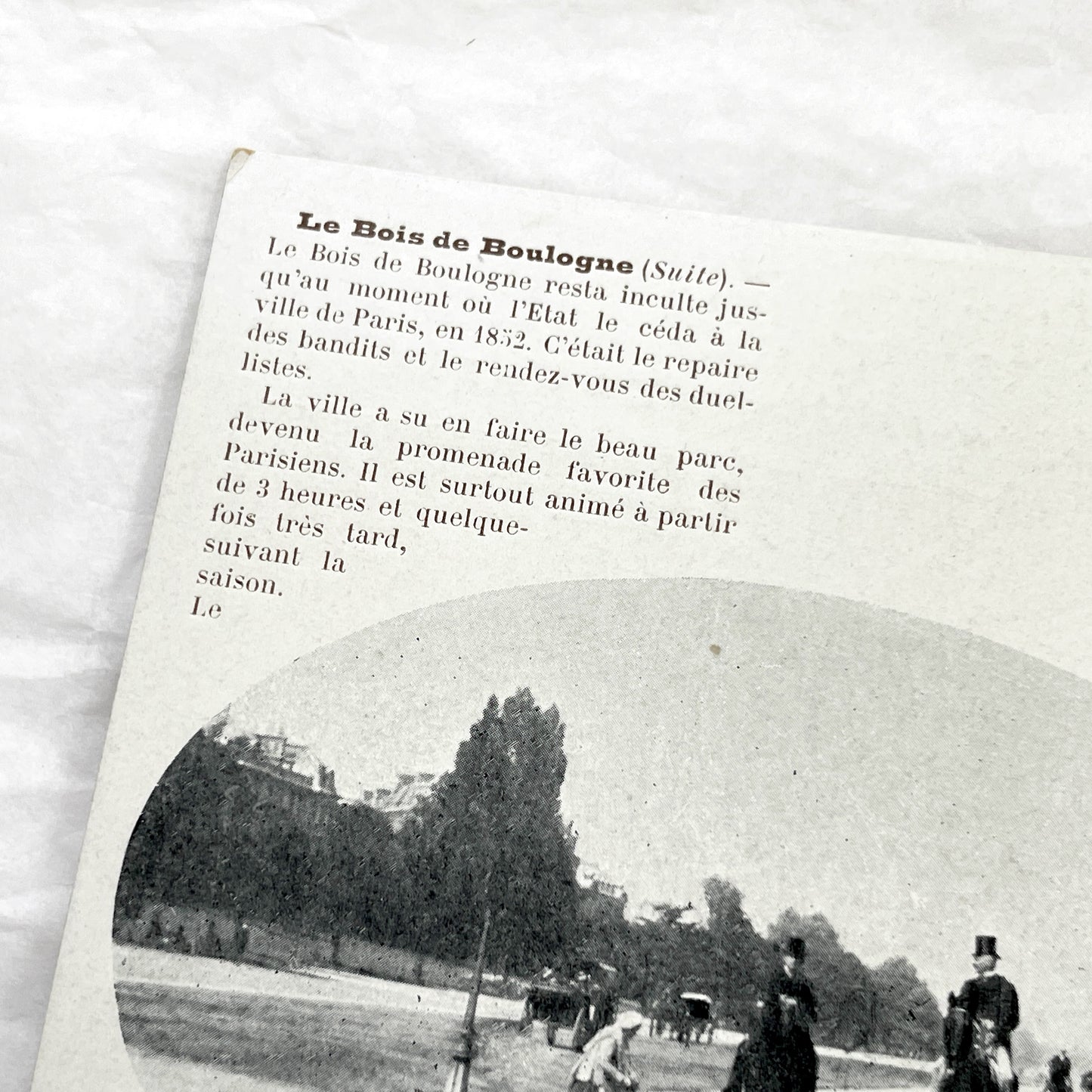 1900s - Vintage Photo Print - Bois de Boulogne Avenue - Paris - Horseback Riders - Elegant Promenade - French History