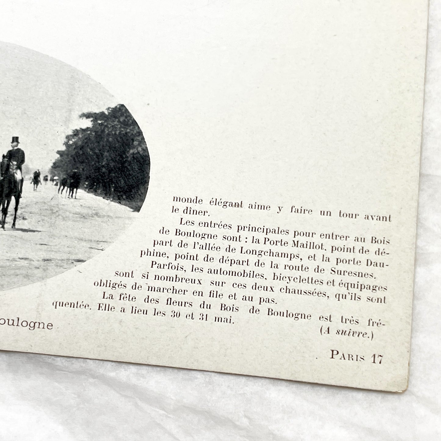 1900s - Vintage Photo Print - Bois de Boulogne Avenue - Paris - Horseback Riders - Elegant Promenade - French History