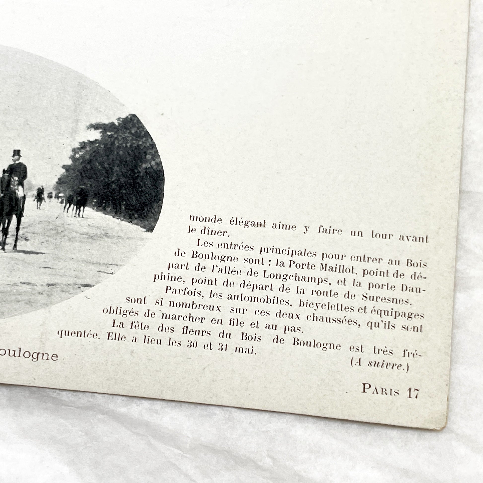 1900s - Vintage Photo Print - Bois de Boulogne Avenue - Paris - Horseback Riders - Elegant Promenade - French History