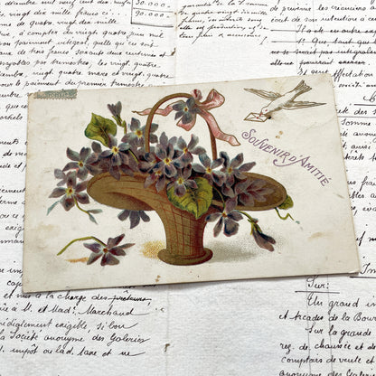1900s - Antique French Postcard - Floral Violets Basket - Souvenir D'Amitie - Victorian Era Ephemera - Collectible Art Print