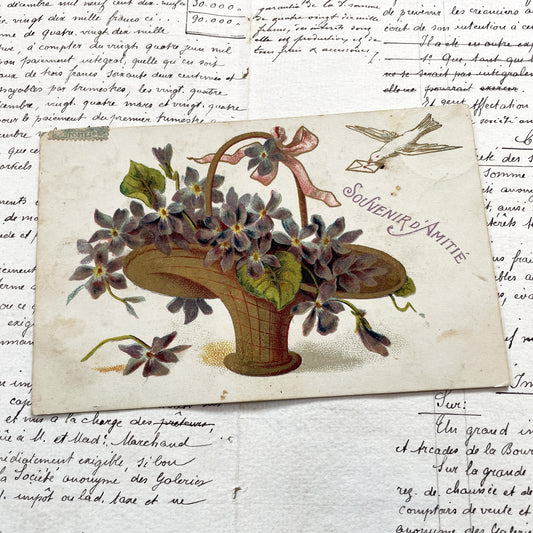 1900s - Antique French Postcard - Floral Violets Basket - Souvenir D'Amitie - Victorian Era Ephemera - Collectible Art Print