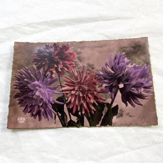 1920s - Vintage Hand-Colored Dahlia Photograph - Scalloped Gold Edge Photo Print - Antique Floral Art Piece from 1925 - Collectible Blooms