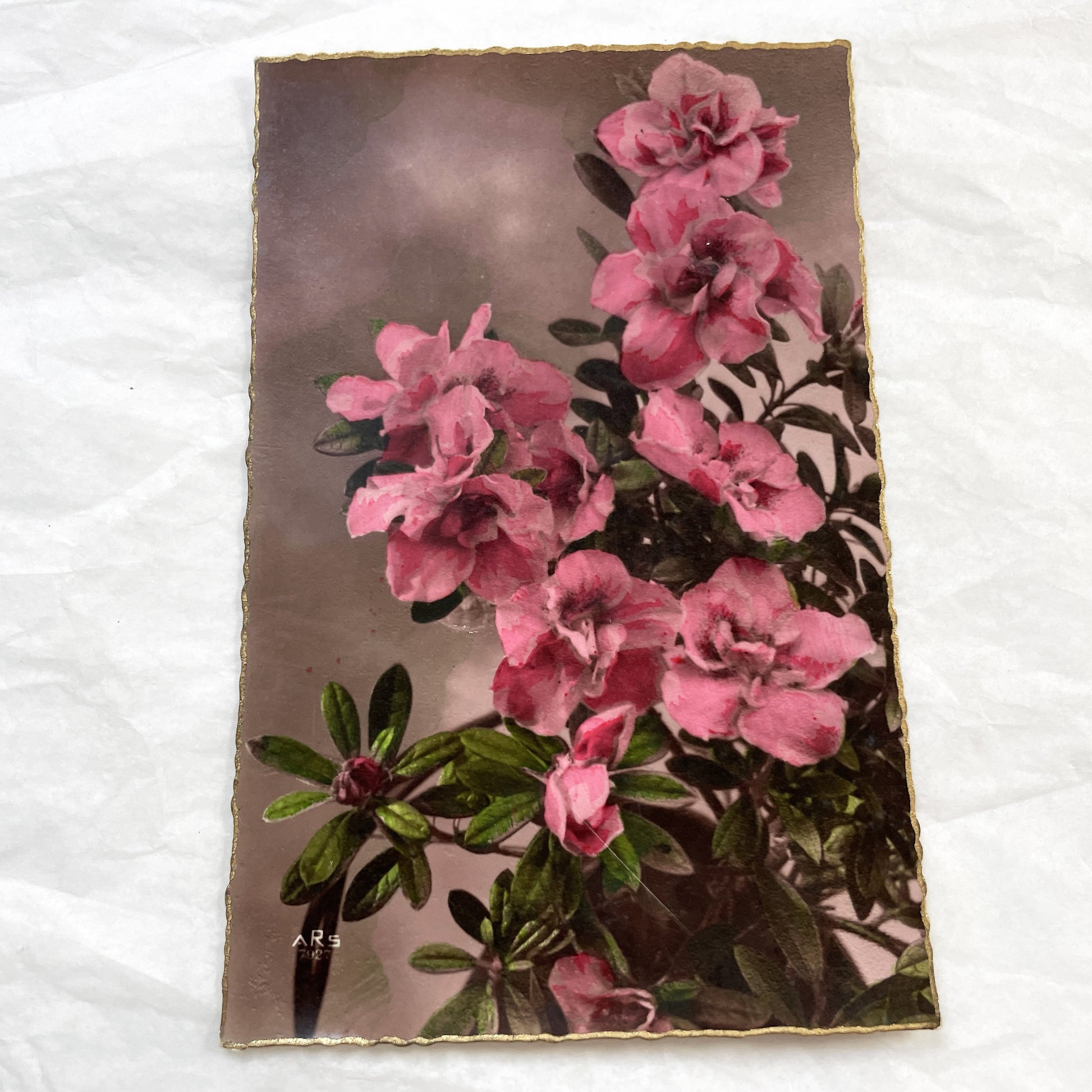 1910s - Vintage Azalea Rhododendron Floral Art Print Card - Gilded Edges Antique Ephemera - Pink Flower Bouquet - Collectible Botanical
