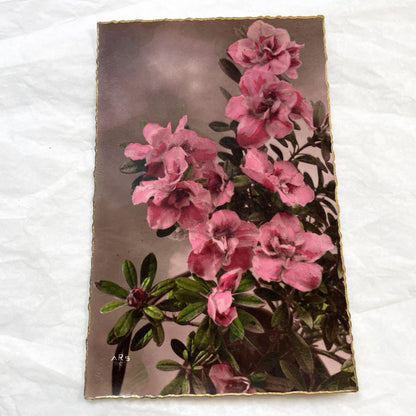 1910s - Vintage Azalea Rhododendron Floral Art Print Card - Gilded Edges Antique Ephemera - Pink Flower Bouquet - Collectible Botanical