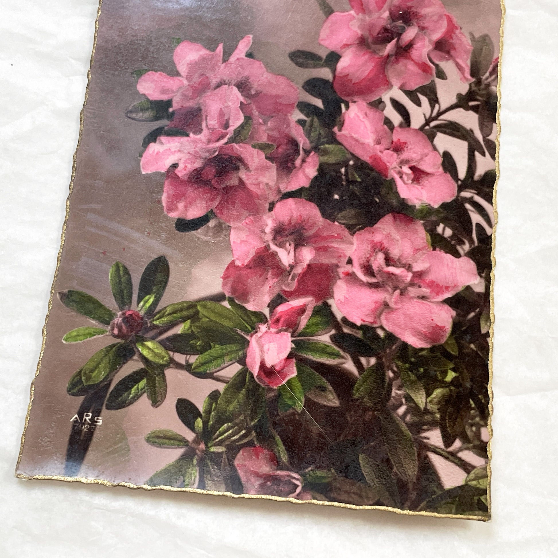 1910s - Vintage Azalea Rhododendron Floral Art Print Card - Gilded Edges Antique Ephemera - Pink Flower Bouquet - Collectible Botanical