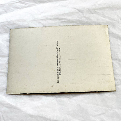 1910s - Vintage Azalea Rhododendron Floral Art Print Card - Gilded Edges Antique Ephemera - Pink Flower Bouquet - Collectible Botanical