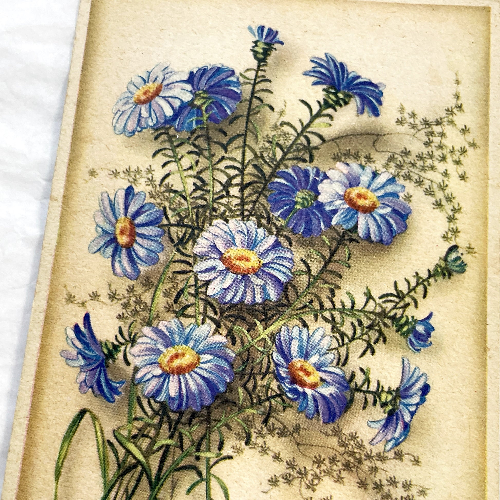 1940s - Vintage Postcard Floral Bouquet - Blue Aster Flowers Bonne Fête - French Greeting Card - Antique Ephemera Collectible Paper Art