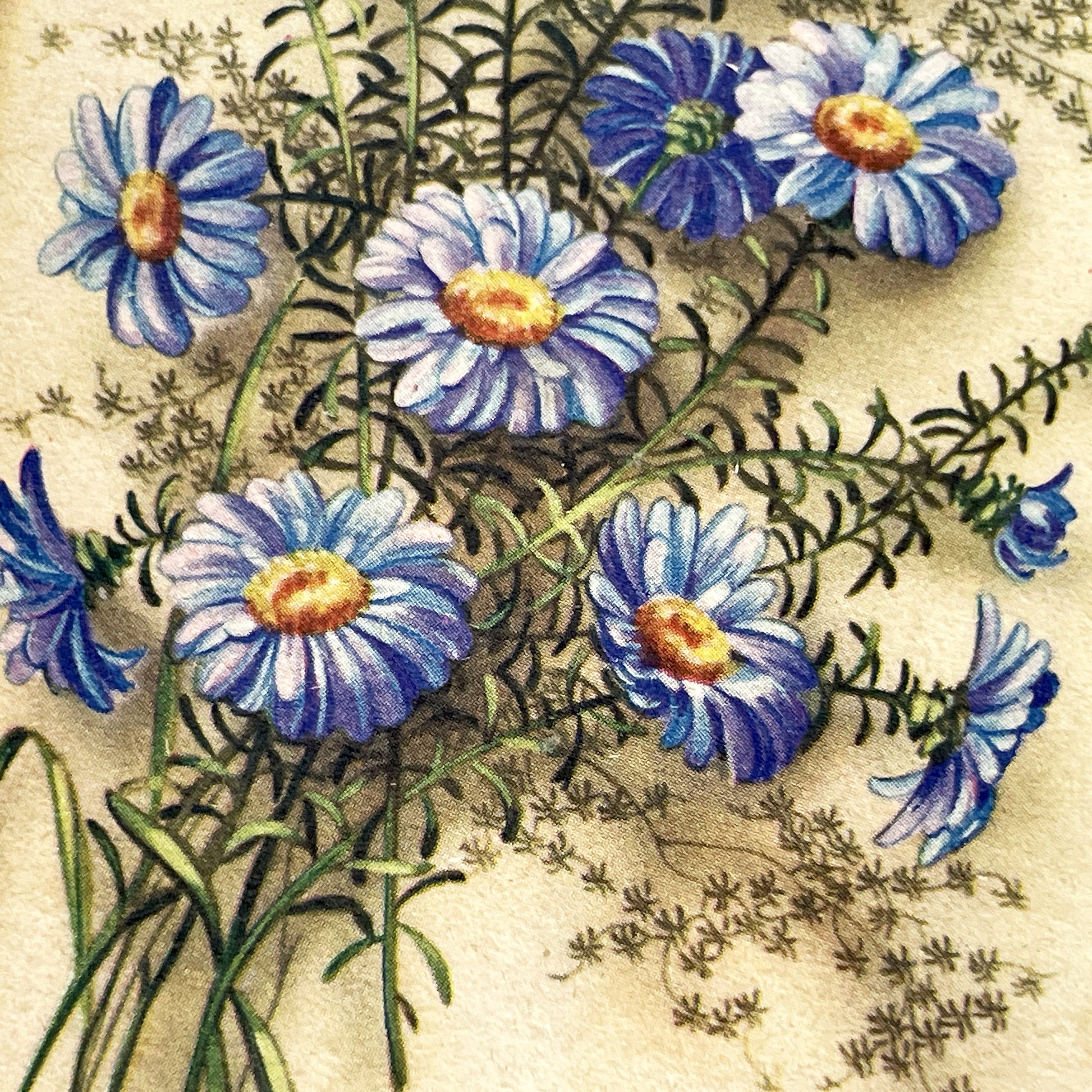 1940s - Vintage Postcard Floral Bouquet - Blue Aster Flowers Bonne Fête - French Greeting Card - Antique Ephemera Collectible Paper Art