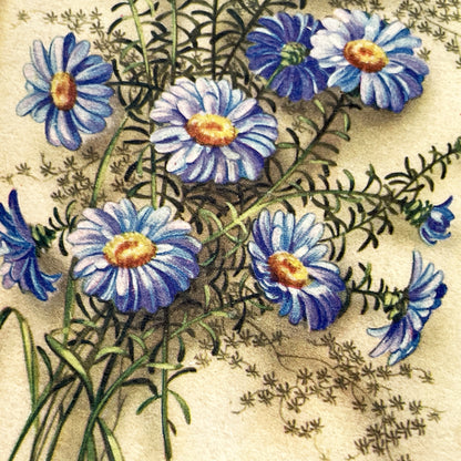 1940s - Vintage Postcard Floral Bouquet - Blue Aster Flowers Bonne Fête - French Greeting Card - Antique Ephemera Collectible Paper Art