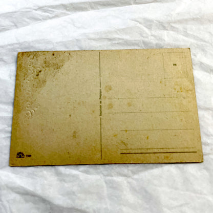 1940s - Vintage Postcard Floral Bouquet - Blue Aster Flowers Bonne Fête - French Greeting Card - Antique Ephemera Collectible Paper Art