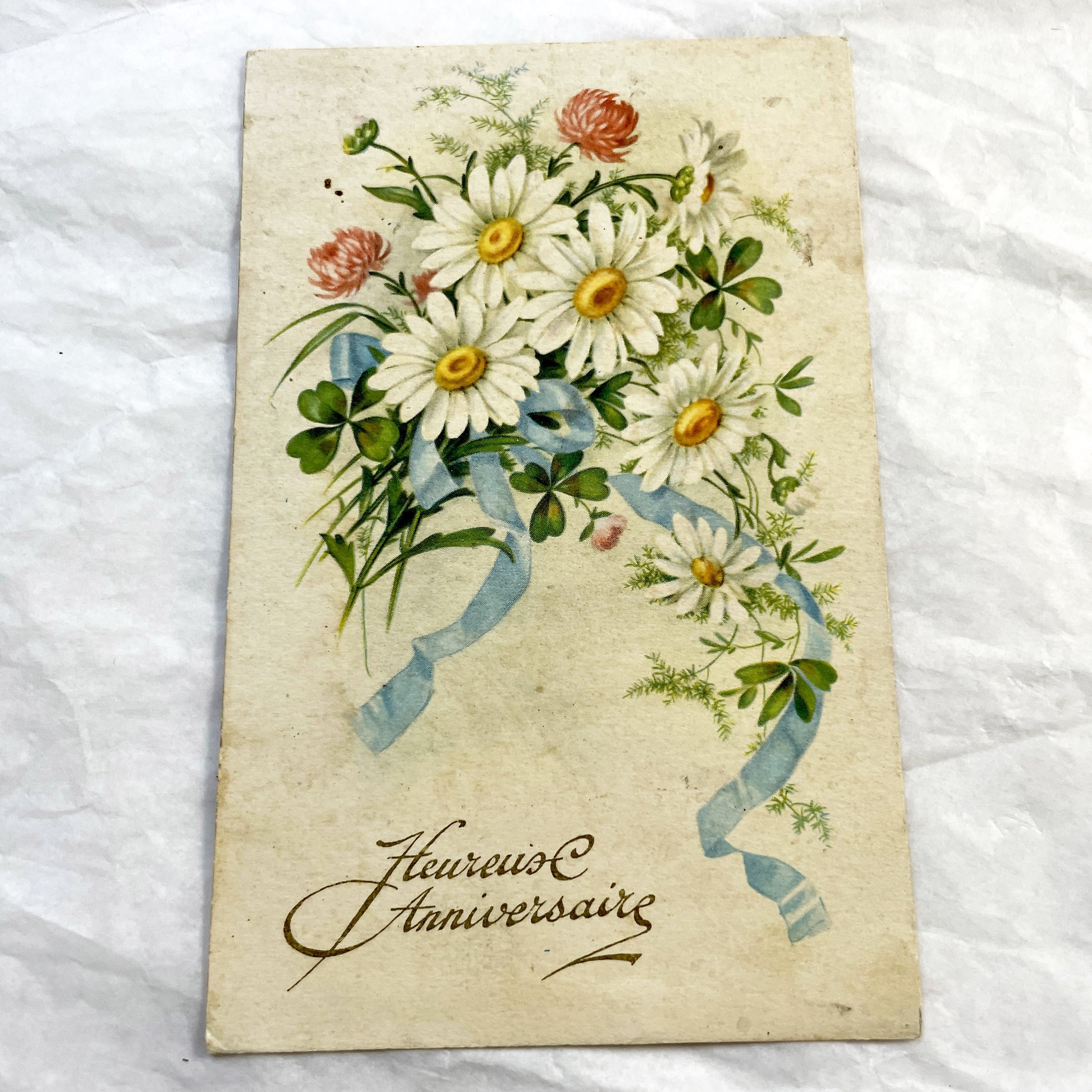 1940s - Vintage French Postcard - Floral Bouquet Daisy Clover - Blue Ribbon Greeting - Happy Anniversary Ephemera - Antique Collectible