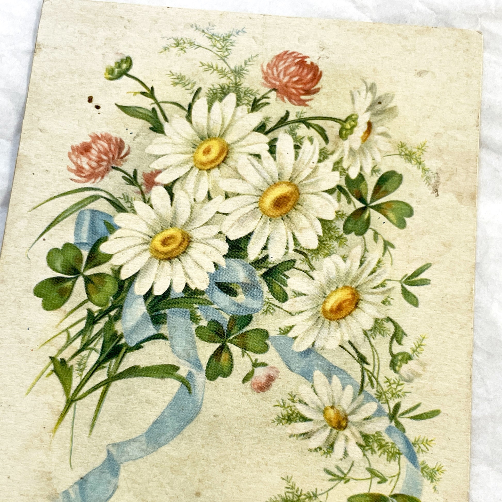 1940s - Vintage French Postcard - Floral Bouquet Daisy Clover - Blue Ribbon Greeting - Happy Anniversary Ephemera - Antique Collectible