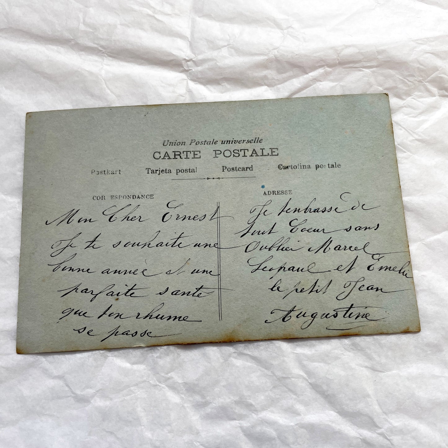 1900s - Vintage French New Year Postcard - Edwardian Woman With Mimosa - Hand Tinted Floral Greeting Card - Collectible Antique Ephemera