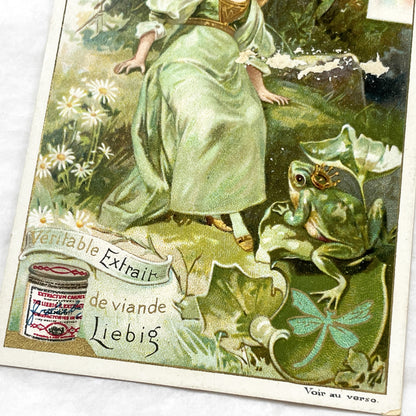 1900s - Art Nouveau Enchanted Forest Princess Frog - Vintage French Chromo Card - Liebig Extract De Viande Advertisement - Collectible Card