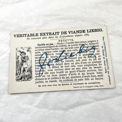 1900s - Art Nouveau Enchanted Forest Princess Frog - Vintage French Chromo Card - Liebig Extract De Viande Advertisement - Collectible Card