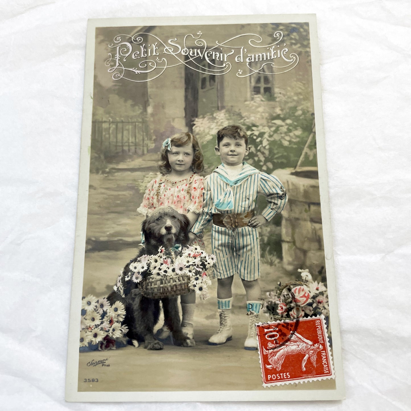 1910s - Vintage French Postcard - Children, Dog, Daisies Basket - Sailor Suit Boy - Friendship Souvenir - Hand-Tinted Sepia Photoble