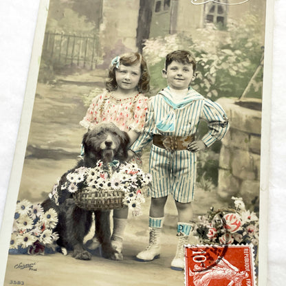 1910s - Vintage French Postcard - Children, Dog, Daisies Basket - Sailor Suit Boy - Friendship Souvenir - Hand-Tinted Sepia Photoble
