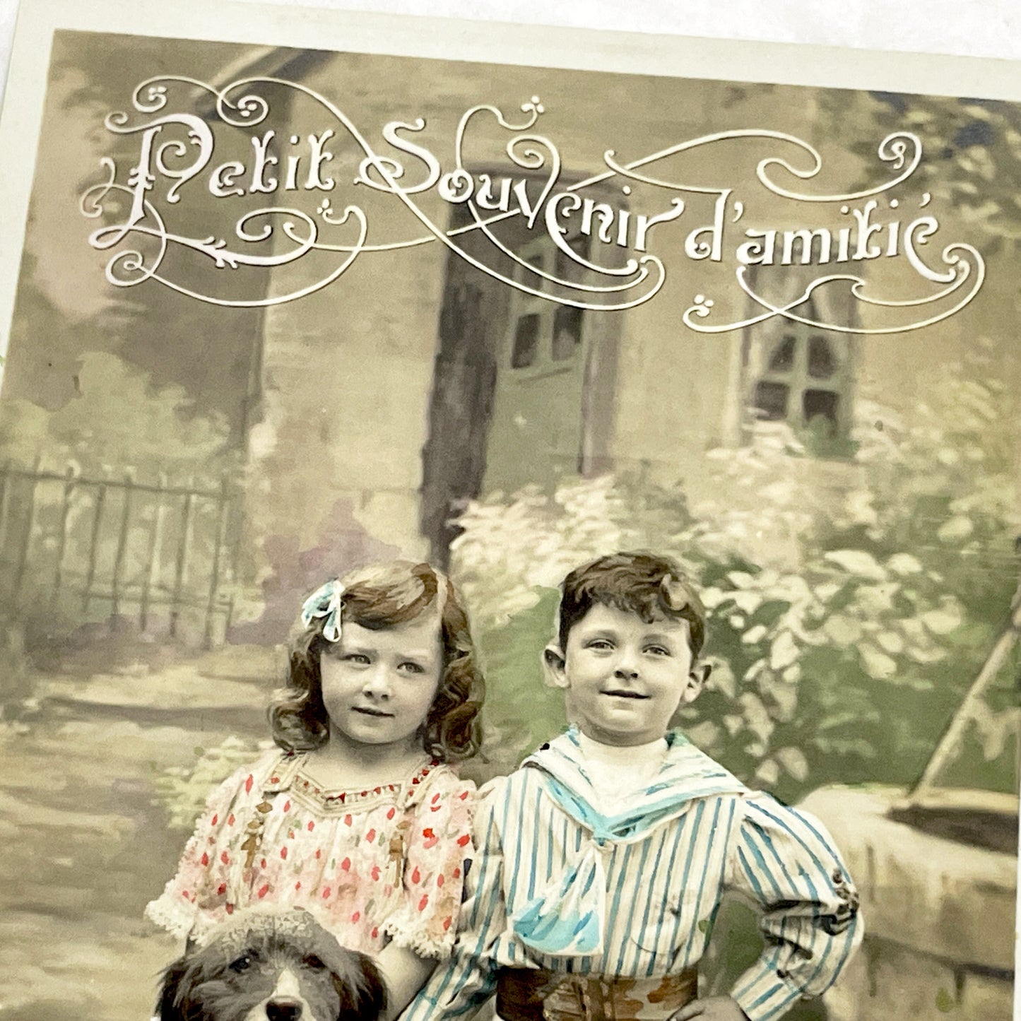 1910s - Vintage French Postcard - Children, Dog, Daisies Basket - Sailor Suit Boy - Friendship Souvenir - Hand-Tinted Sepia Photoble