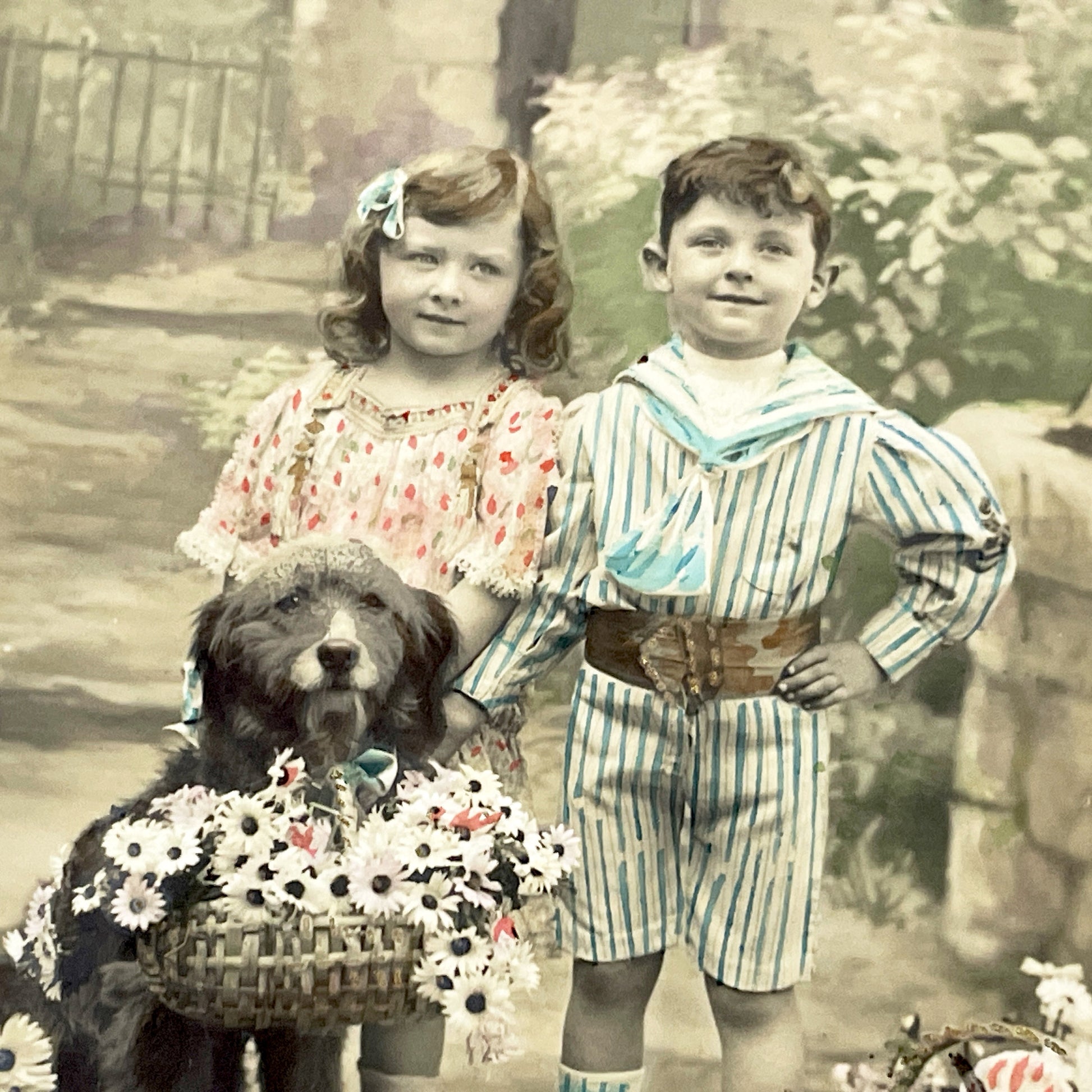 1910s - Vintage French Postcard - Children, Dog, Daisies Basket - Sailor Suit Boy - Friendship Souvenir - Hand-Tinted Sepia Photoble