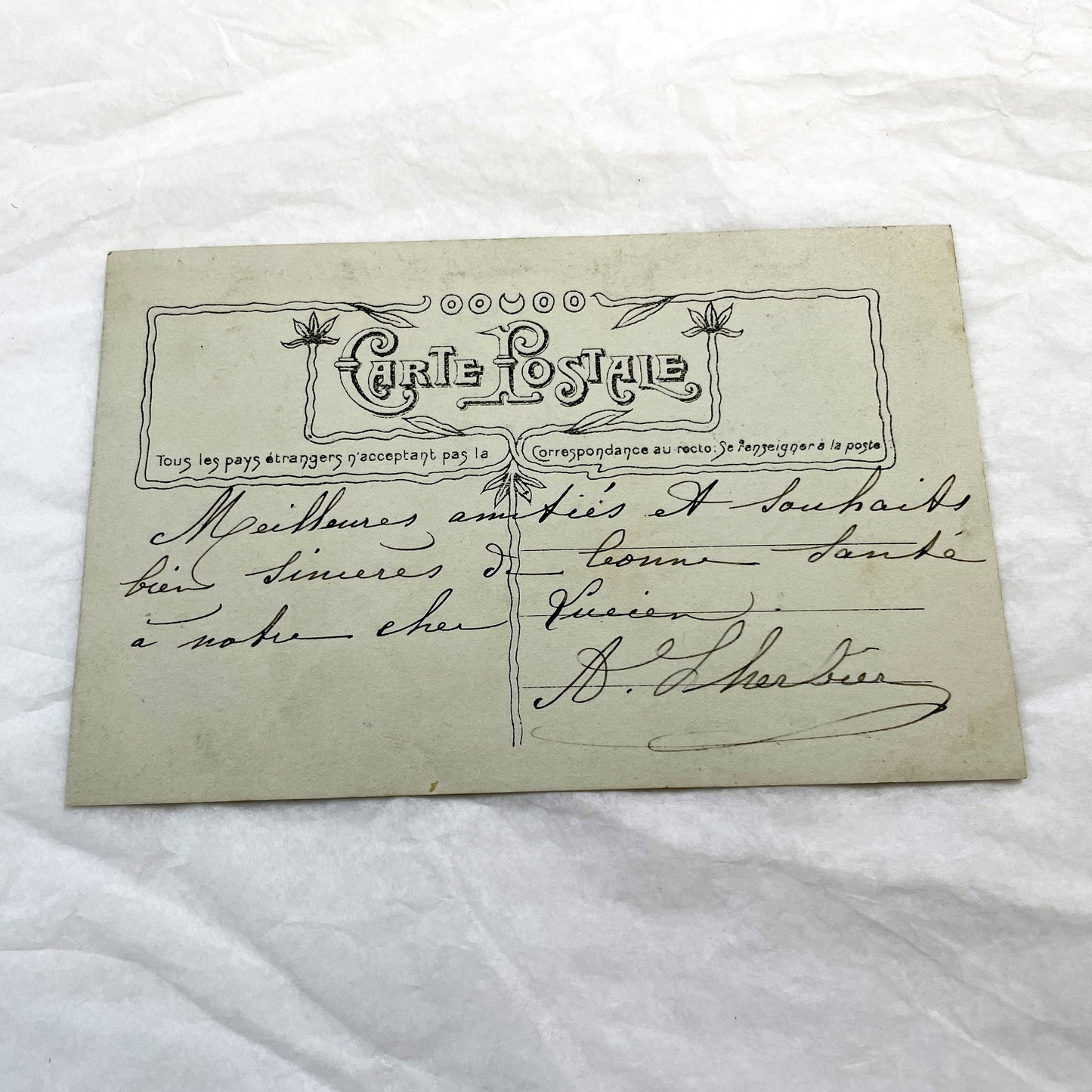 1910s - Vintage French Postcard - Children, Dog, Daisies Basket - Sailor Suit Boy - Friendship Souvenir - Hand-Tinted Sepia Photoble