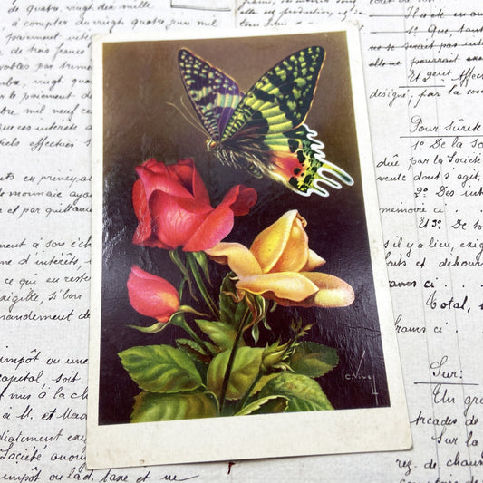 1950s - Vintage French Postcard - Butterfly And Roses Floral Art - Nature Beauty - Paper Ephemera - Collectible Antique Document
