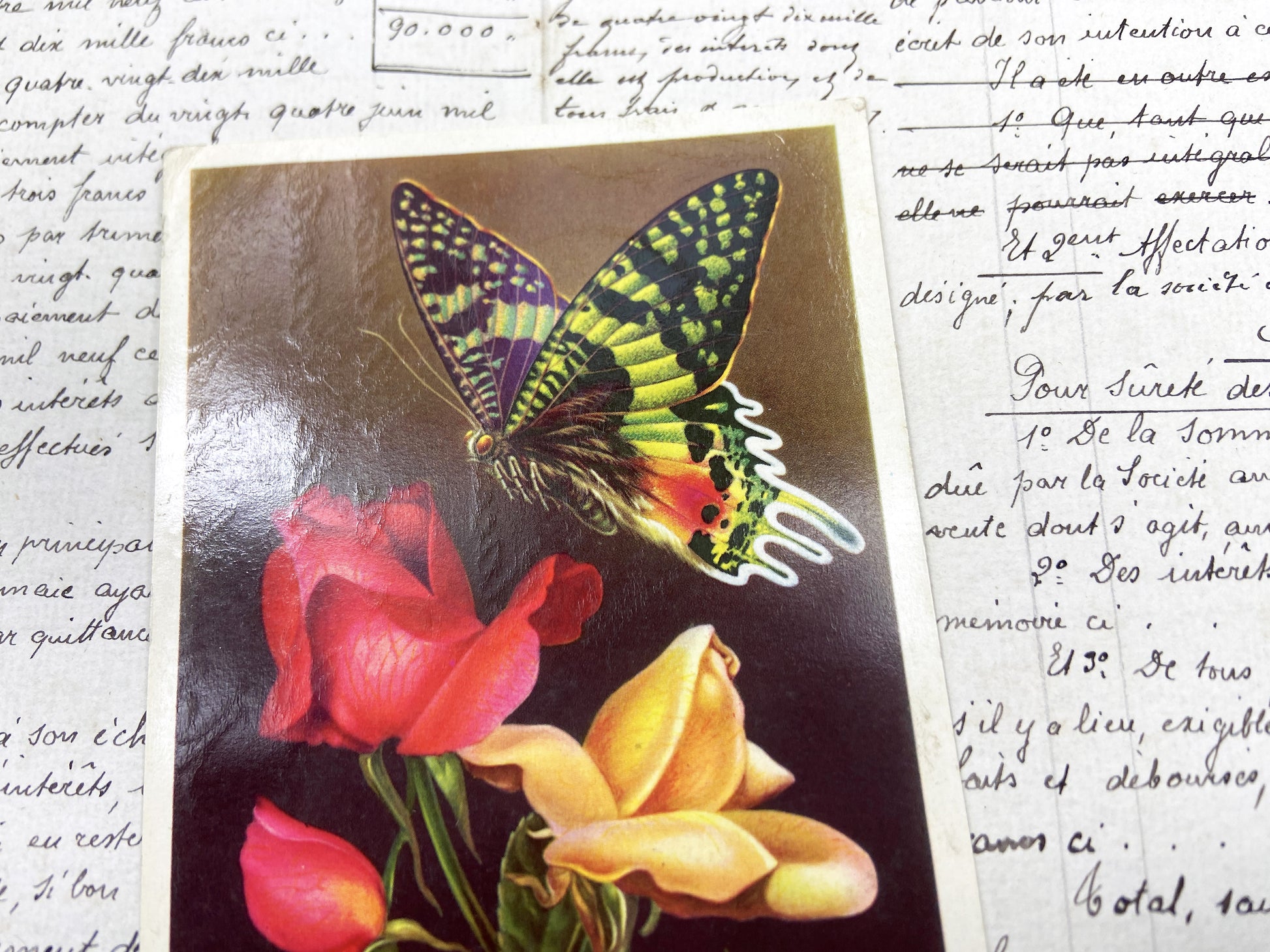 1950s - Vintage French Postcard - Butterfly And Roses Floral Art - Nature Beauty - Paper Ephemera - Collectible Antique Document
