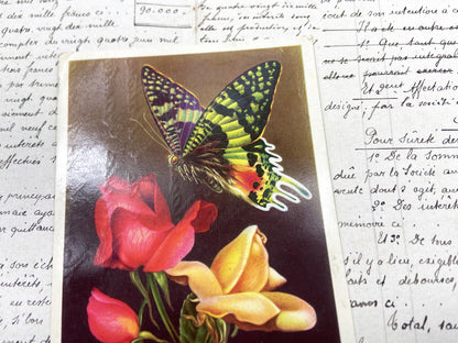 1950s - Vintage French Postcard - Butterfly And Roses Floral Art - Nature Beauty - Paper Ephemera - Collectible Antique Document