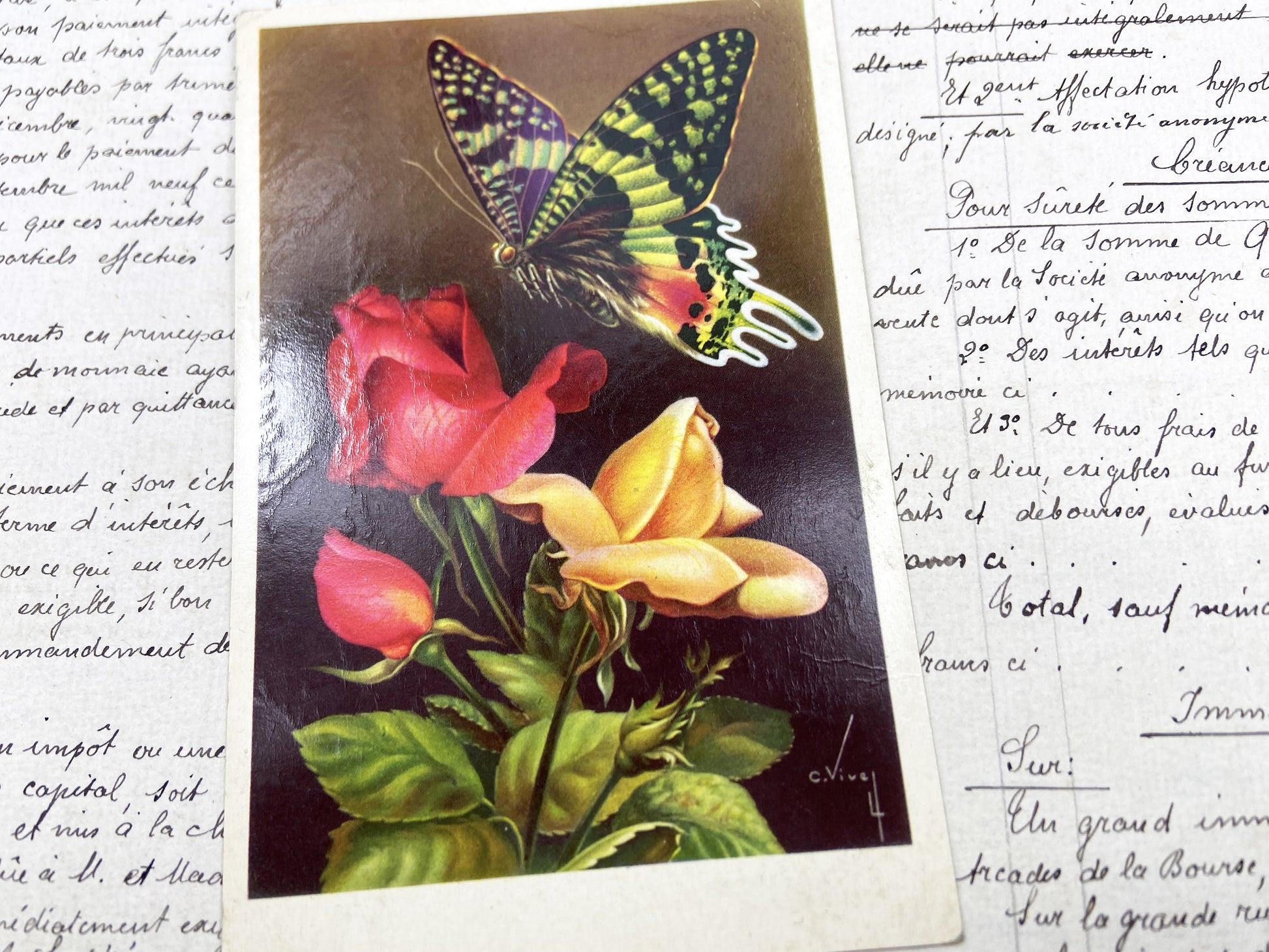 1950s - Vintage French Postcard - Butterfly And Roses Floral Art - Nature Beauty - Paper Ephemera - Collectible Antique Document