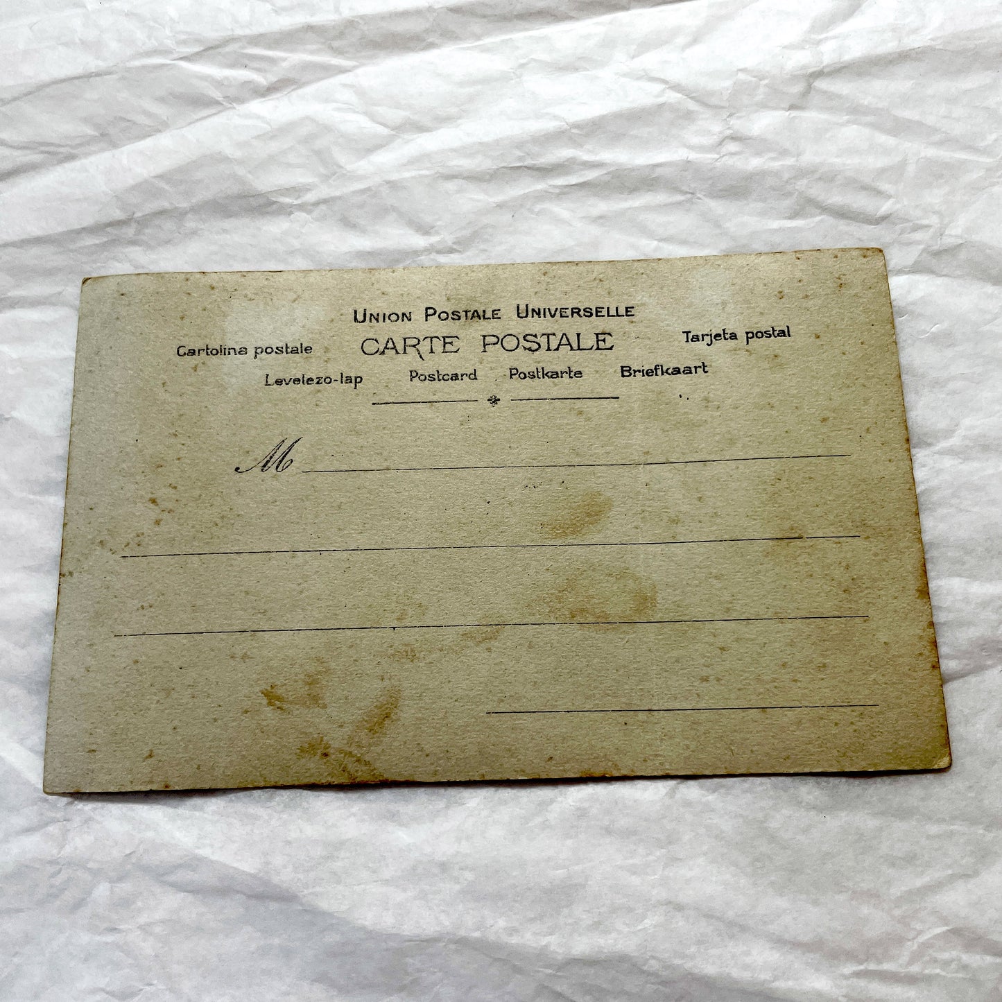 1900s - Vintage French Easter Postcard - Elegant Woman Reclining Among Roses - Joyeuses Paques Paris Antique Greeting Card Collectible