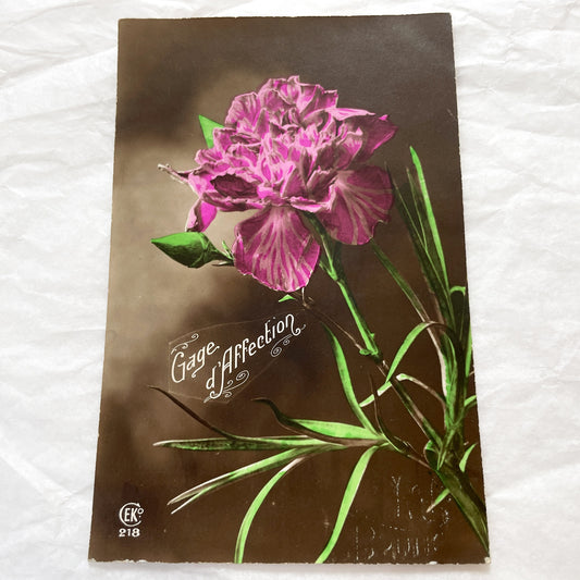 1900s - Antique French Postcard - Vibrant Pink Carnation Flower - Gage d'Affection Sentimental Floral Art Print - Collectible Ephemera