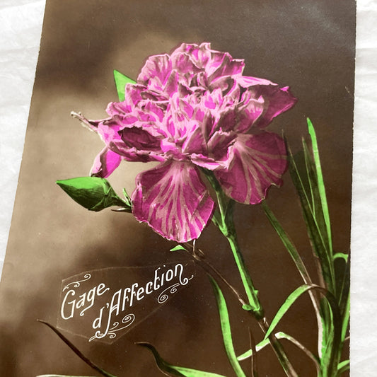 1900s - Antique French Postcard - Vibrant Pink Carnation Flower - Gage d'Affection Sentimental Floral Art Print - Collectible Ephemera