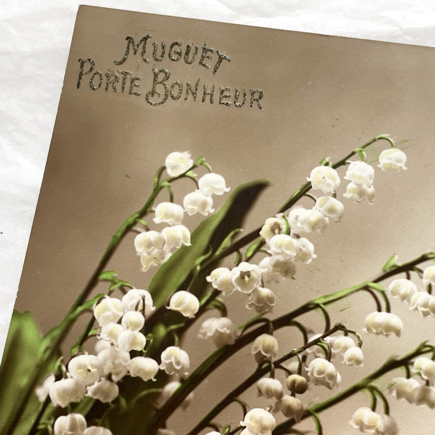 1910s - Vintage French Muguet Postcard - Lily Of The Valley Good Luck Floral Art - Antique Glitter Greeting Card - Collectible Ephemera