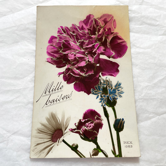 1920s - Vintage French Floral Postcard - Mille Baisers Carnation Daisy Cornflower Art - Botanical Greeting Card - Retro Flower Print