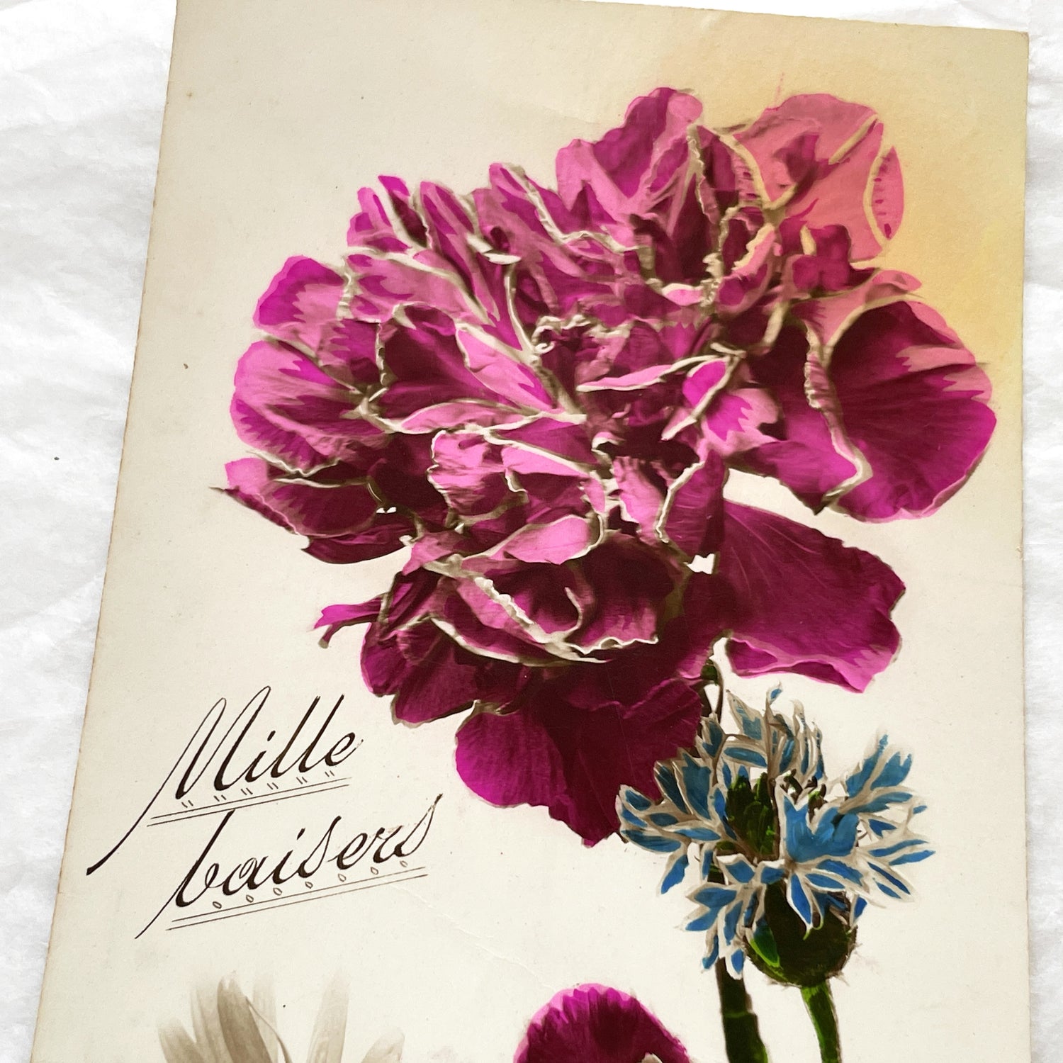 1920s - Vintage French Floral Postcard - Mille Baisers Carnation Daisy Cornflower Art - Botanical Greeting Card - Retro Flower Print