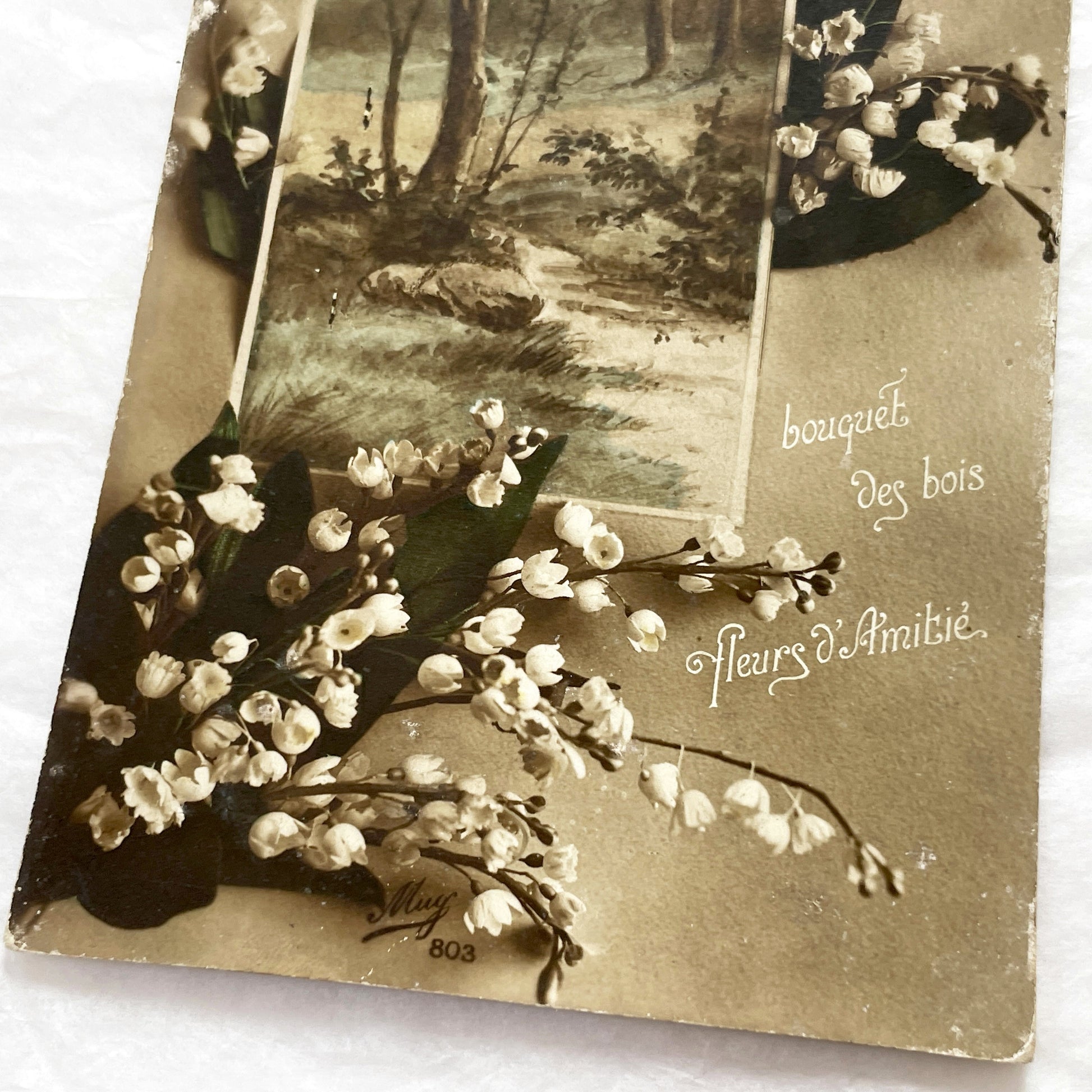 1910s - Vintage French Postcard - Lily Of The Valley Flowers - Forest Path Illustration - Dated 1917 - Muguet Friendship Card