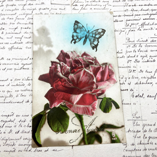 1920s - Vintage French Hand-Colored Rose Butterfly Postcard - Collectible Art -  “Bonne Année” Greeting – Early 1900s Floral Illustration