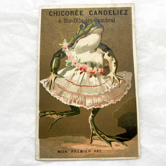 Late 19th - French Chicory Candeliez Trade Card - Dancing Frog Ballerina Chromo i Advertising Collectible - 'Mon Premier Pas'