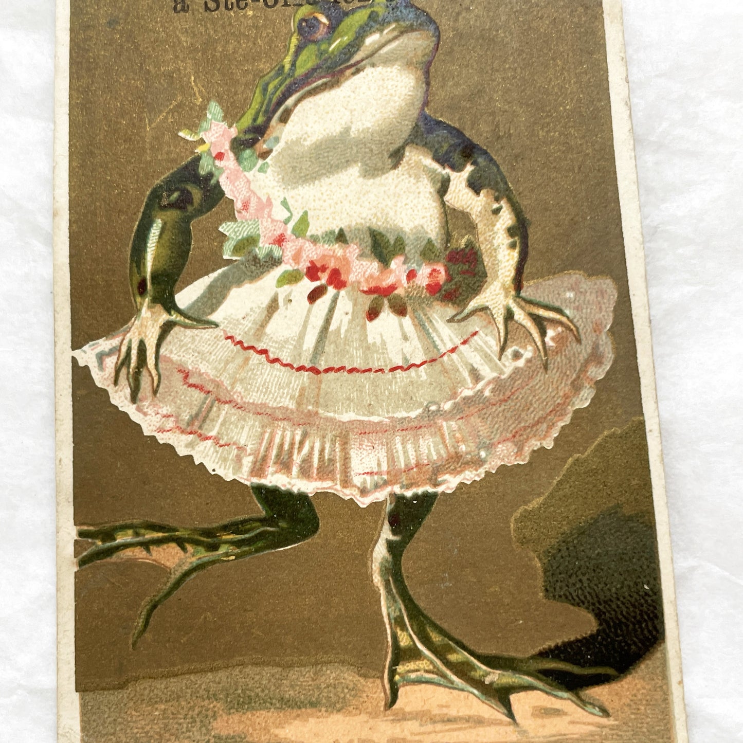 Late 19th - French Chicory Candeliez Trade Card - Dancing Frog Ballerina Chromo i Advertising Collectible - 'Mon Premier Pas'